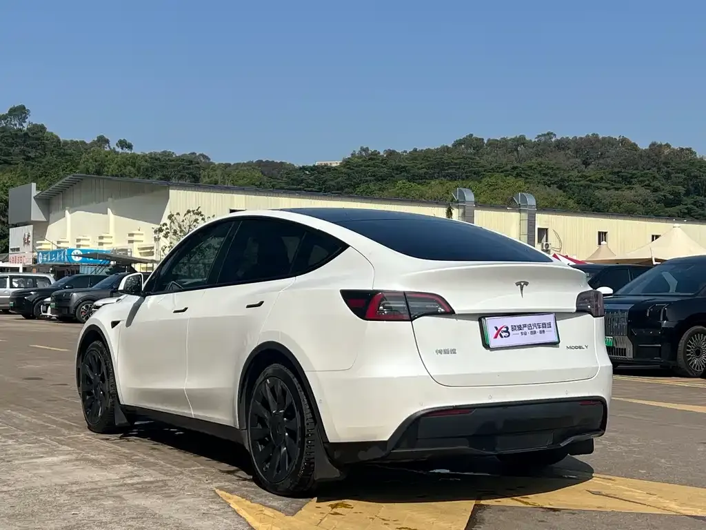 Tesla Model Y 2023 из CN, фото 10