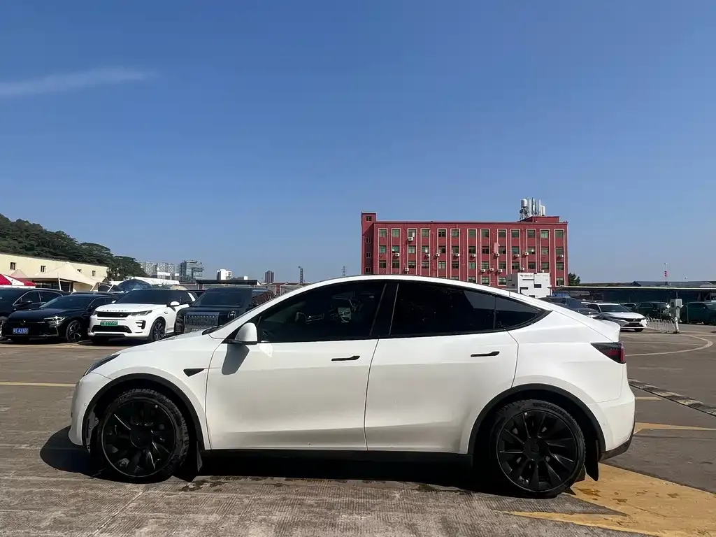 Tesla Model Y 2023 из CN, фото 4