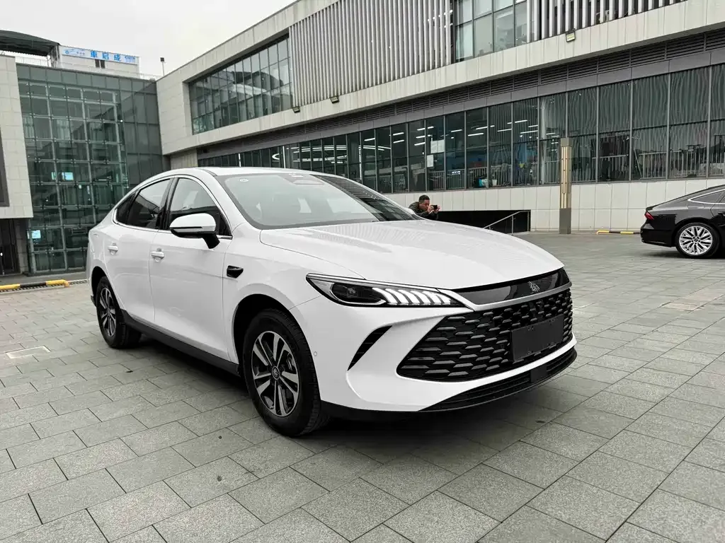 BYD Qin PLUS — фото 10