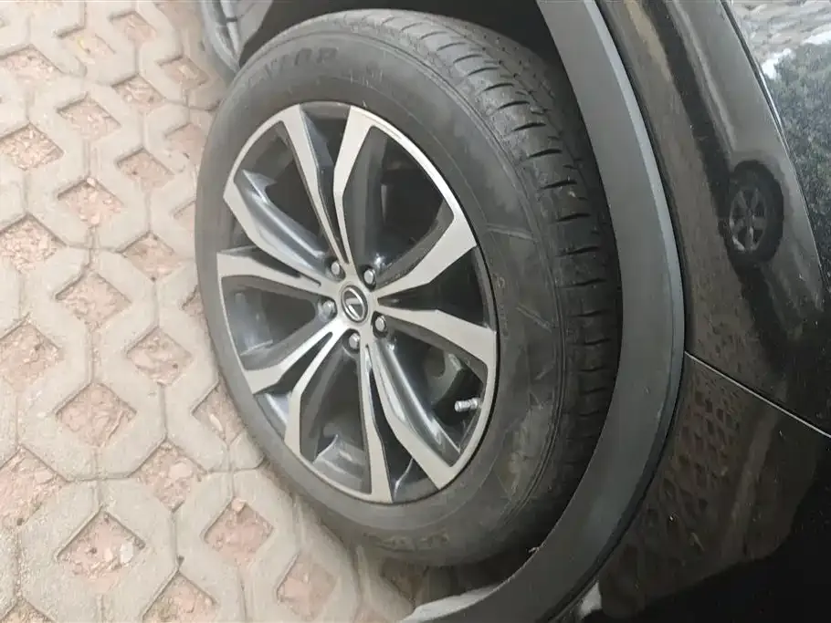 Lexus RX 2021 из CN, фото 6
