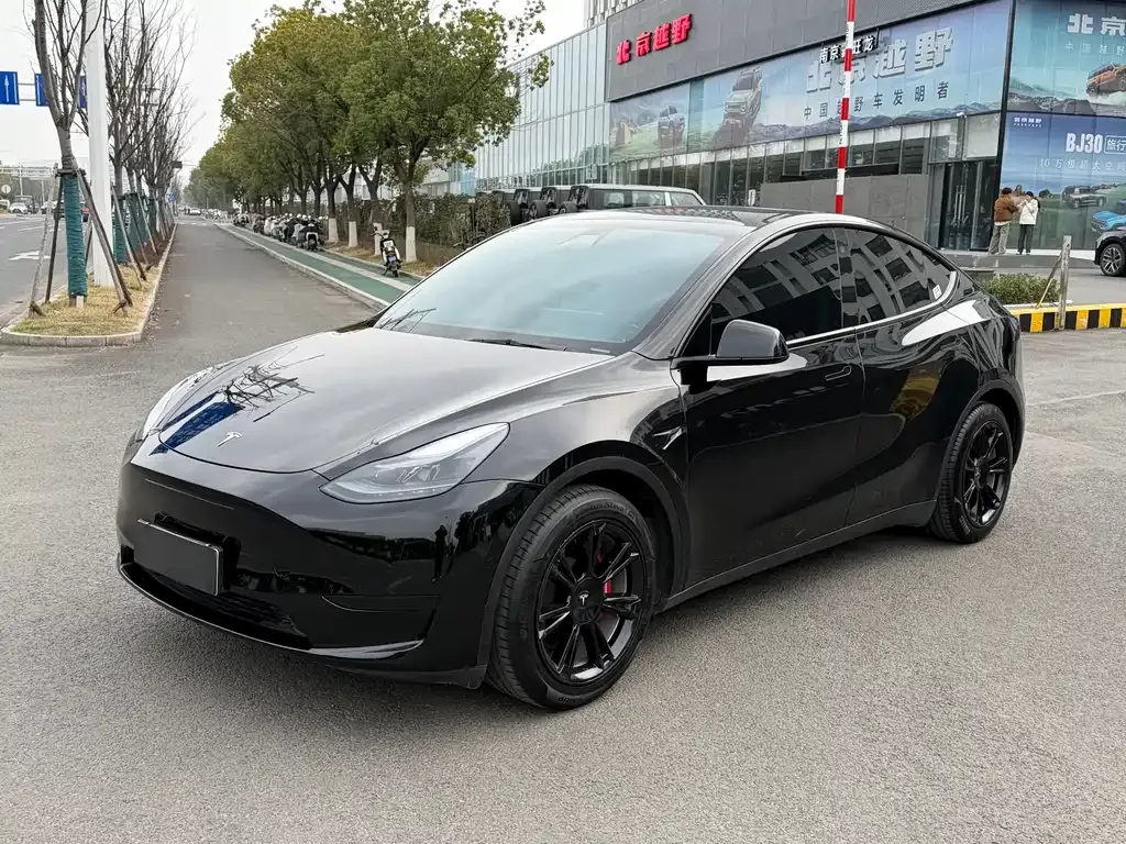 Tesla Model Y — фото 1