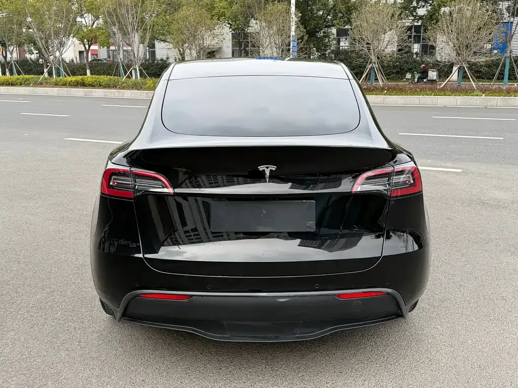 Tesla Model Y — фото 5