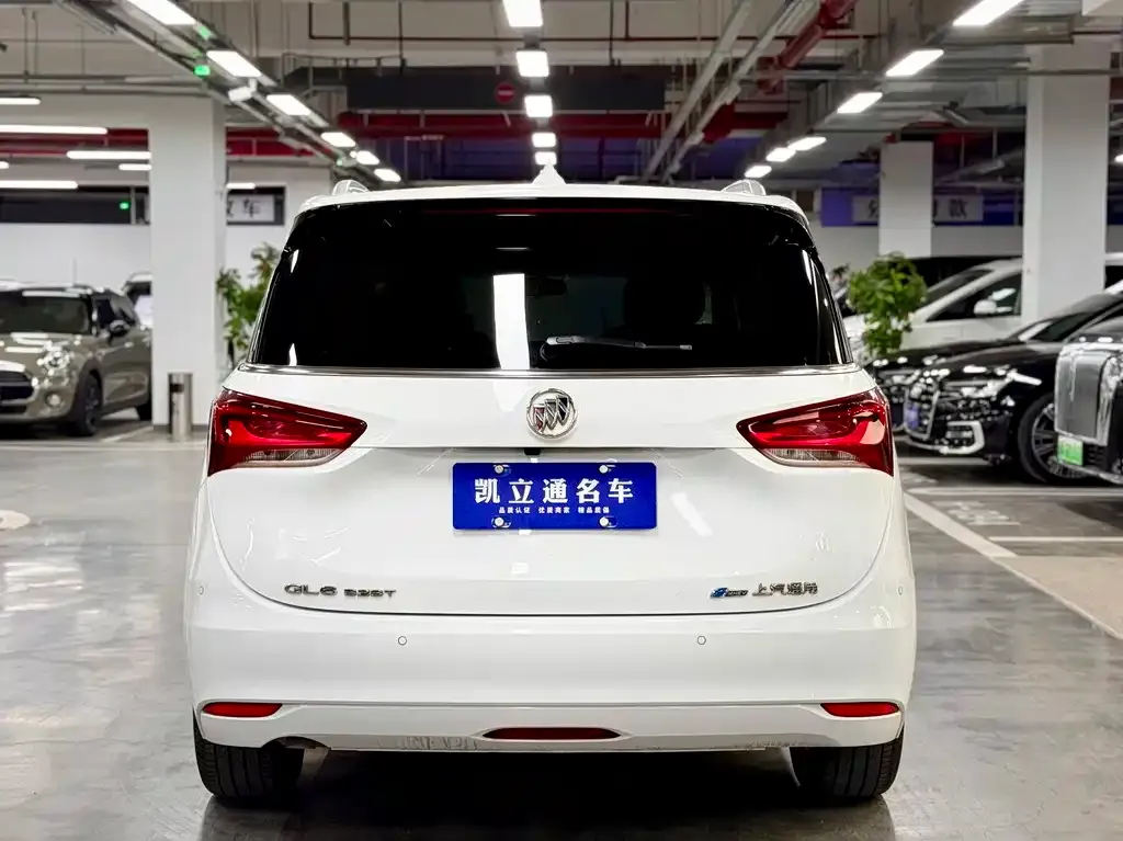 Buick GL6 2021 из CN, фото 10
