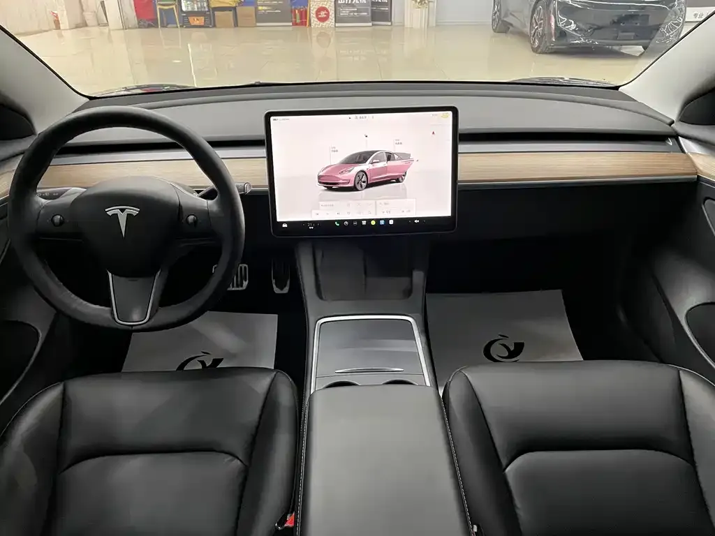 Tesla Model 3 2022 из CN, фото 4