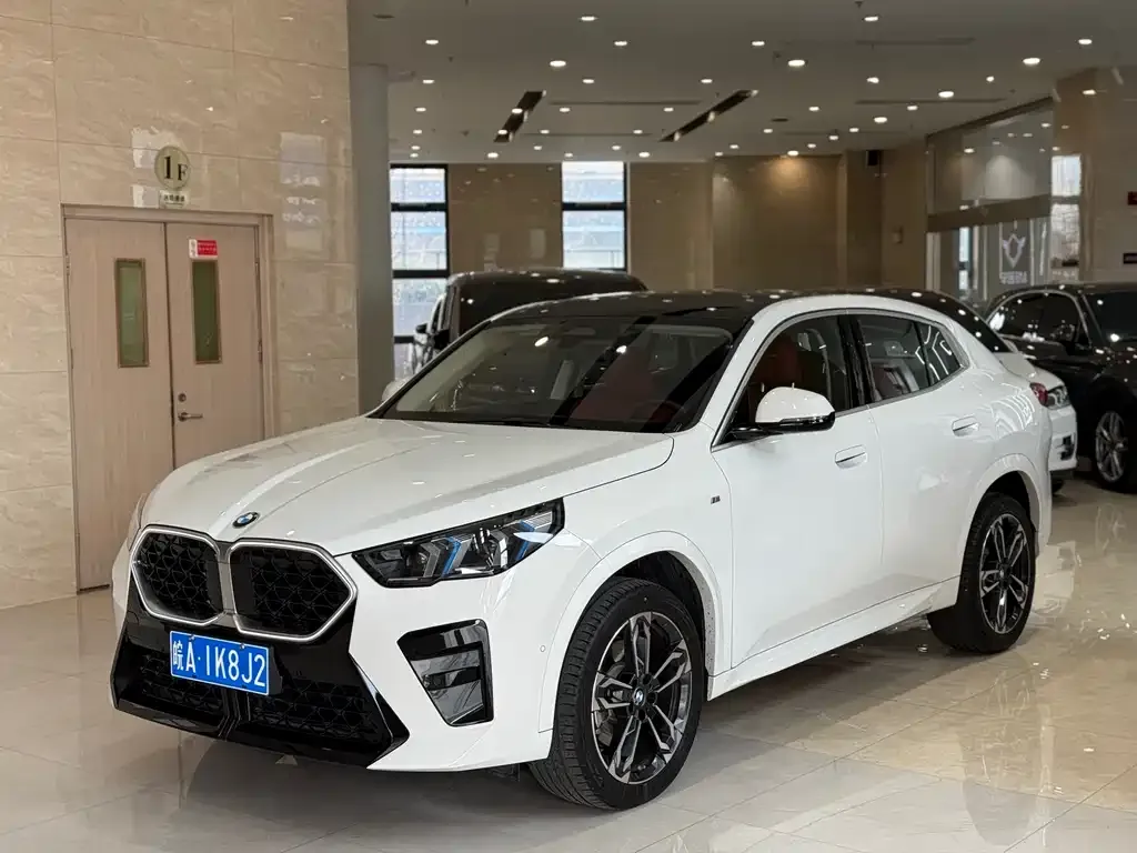 BMW X2 — фото 1
