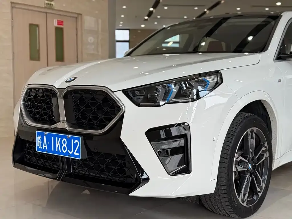 BMW X2 — фото 8