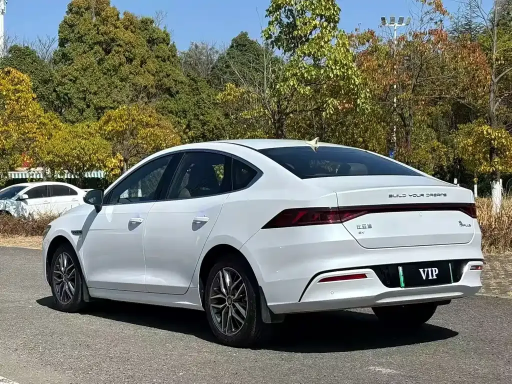 BYD Qin PLUS — фото 8
