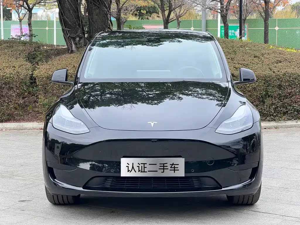 Tesla Model Y — фото 3