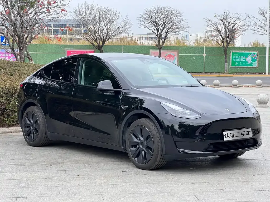 Tesla Model Y — фото 2