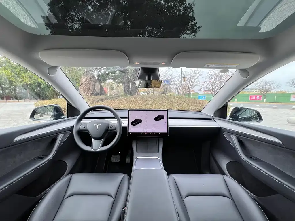 Tesla Model Y — фото 10