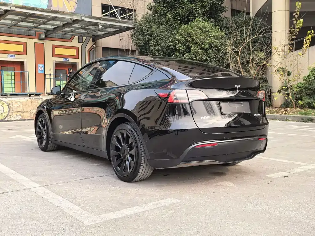 Tesla Model Y 2022 из CN, фото 6