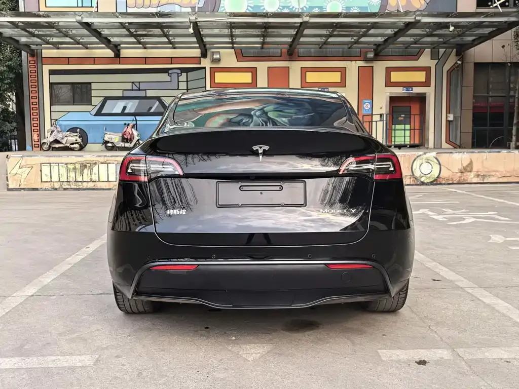 Tesla Model Y 2022 из CN, фото 2