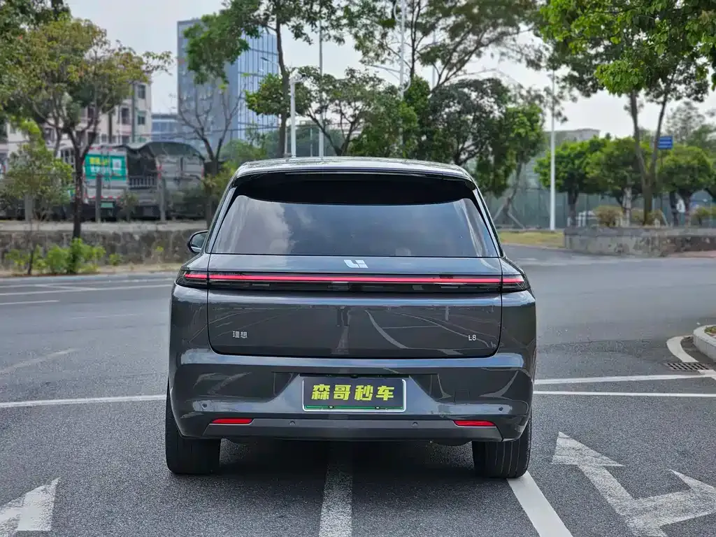 Li Auto Li L8 2023 из CN, фото 6