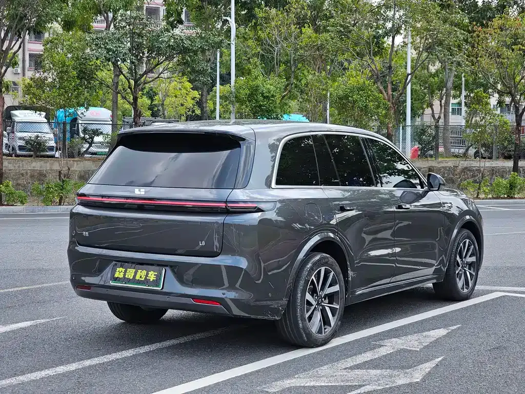 Li Auto Li L8 2023 из CN, фото 10
