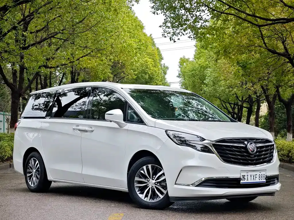 Buick GL8 2022 из CN, фото 10