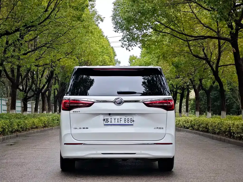 Buick GL8 2022 из CN, фото 8