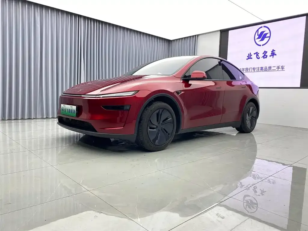 Tesla Model Y — фото 1
