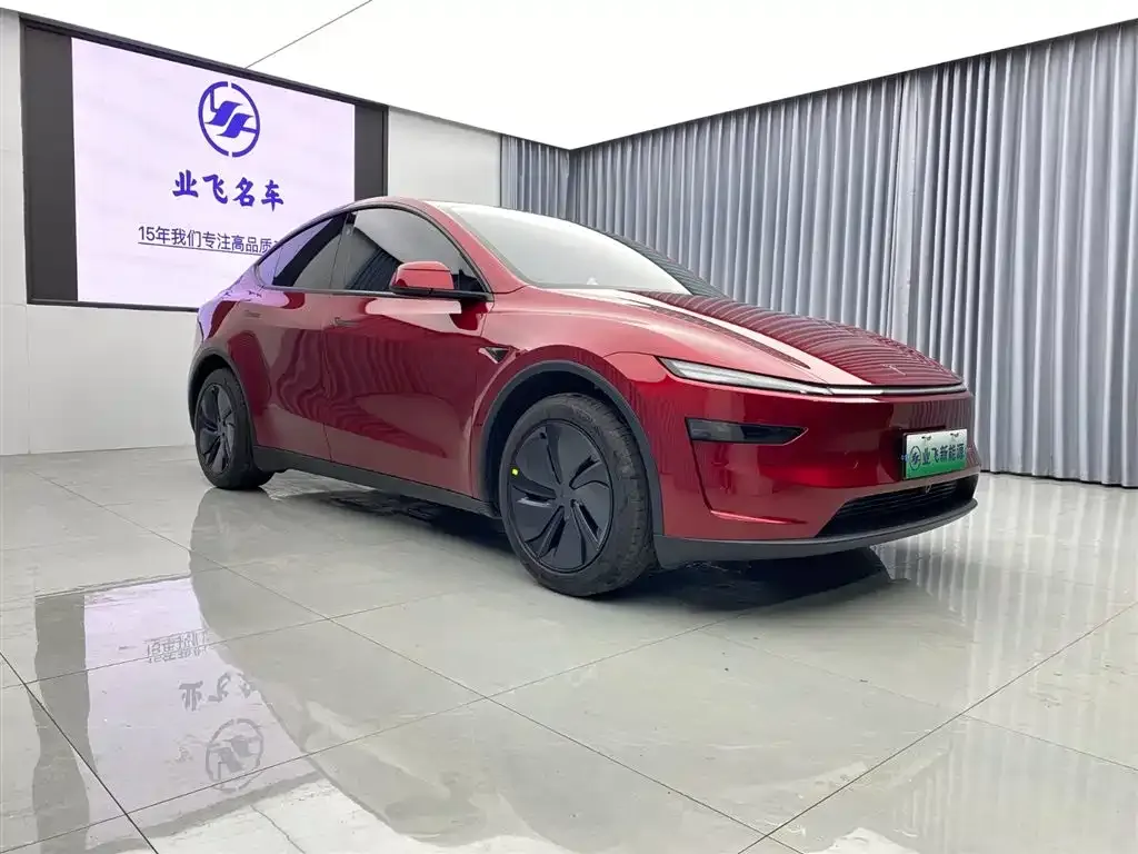 Tesla Model Y — фото 3
