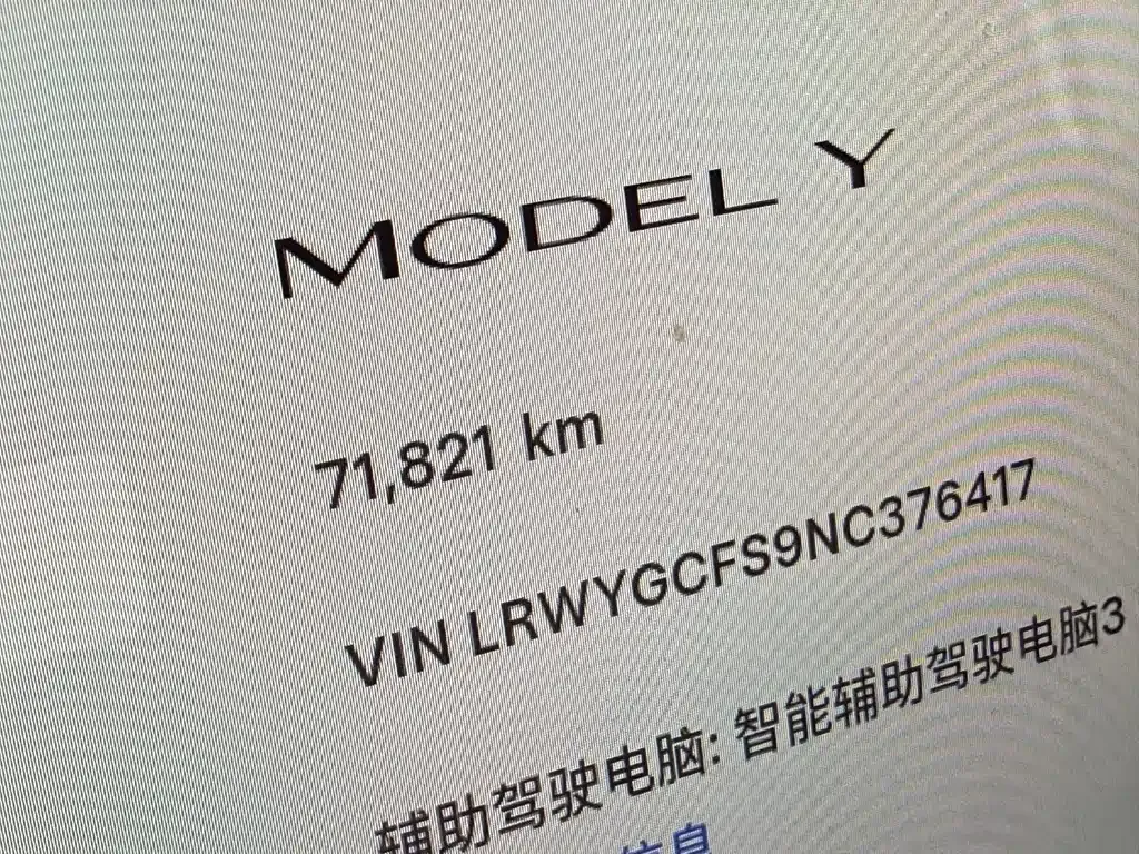 Tesla Model Y — фото 8