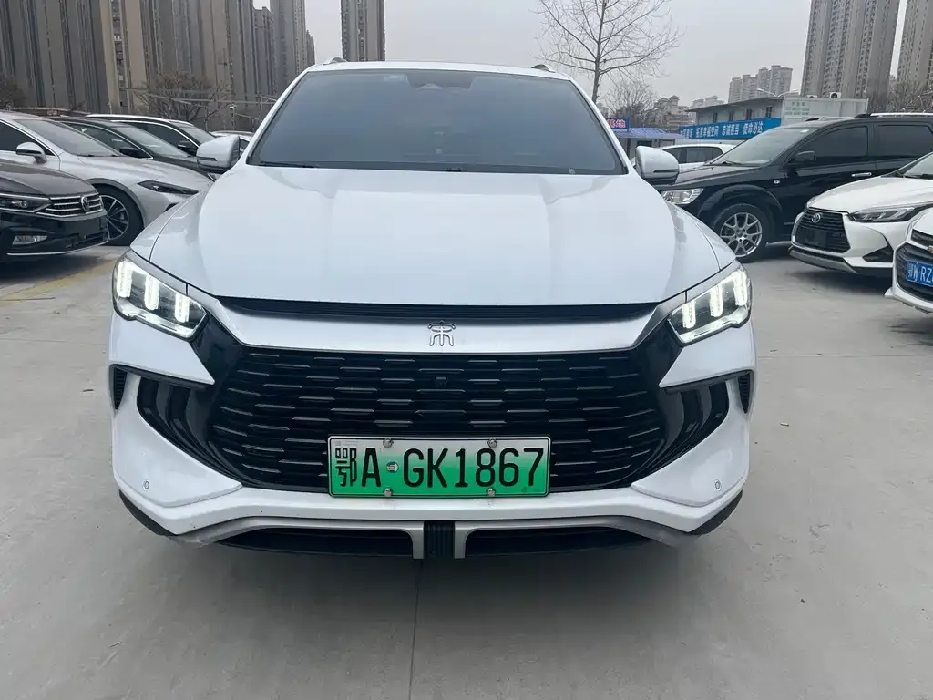 BYD Pro New Energy