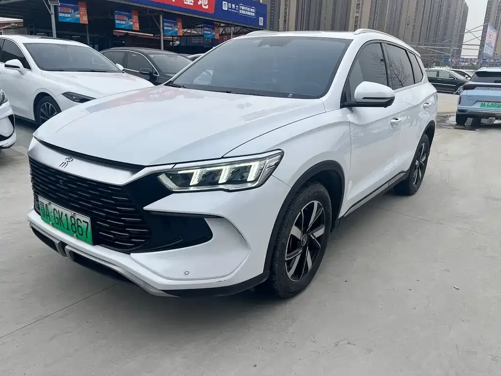 BYD Pro New Energy 2024 из CN, фото 2