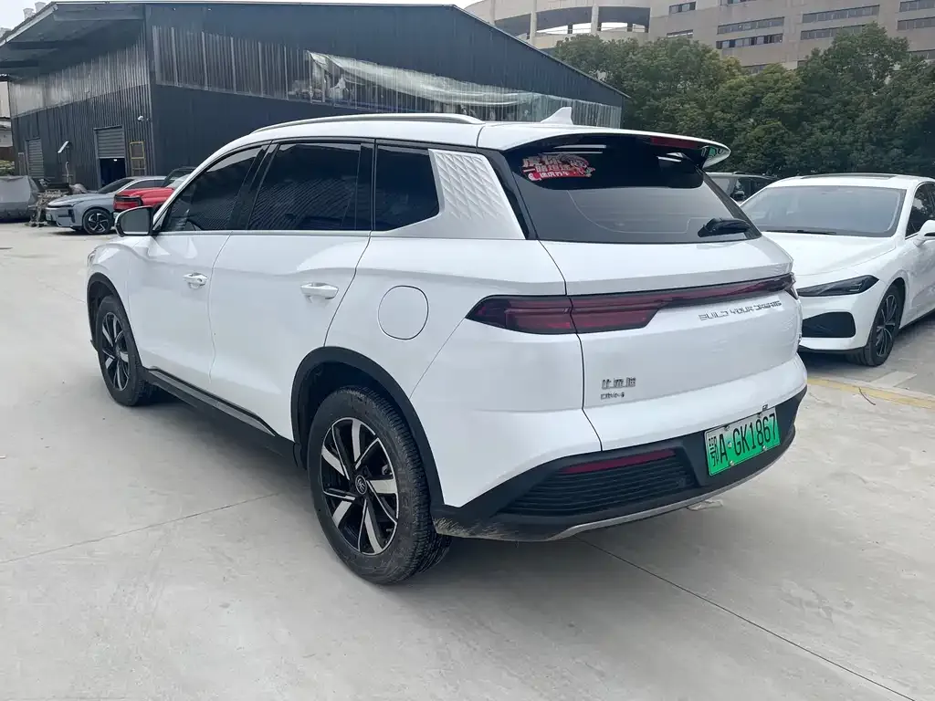 BYD Pro New Energy 2024 из CN, фото 10