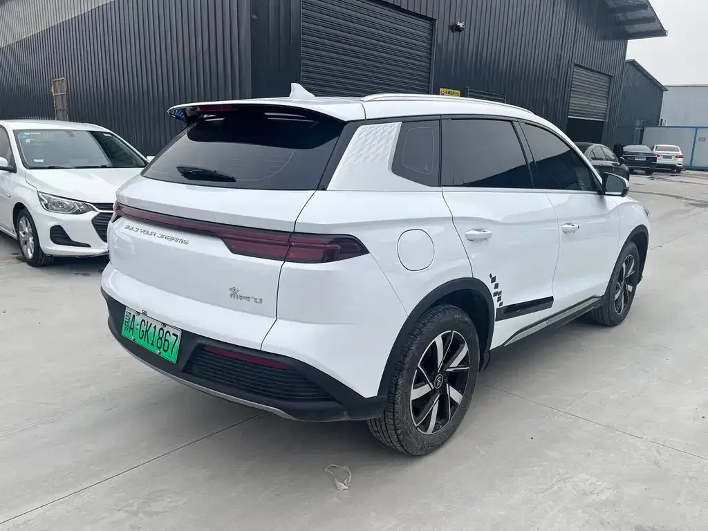 BYD Pro New Energy 2024 из CN, фото 3