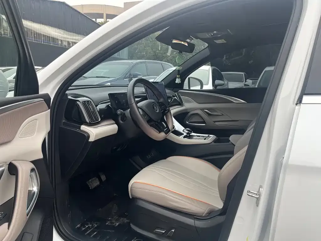 BYD Pro New Energy 2024 из CN, фото 6