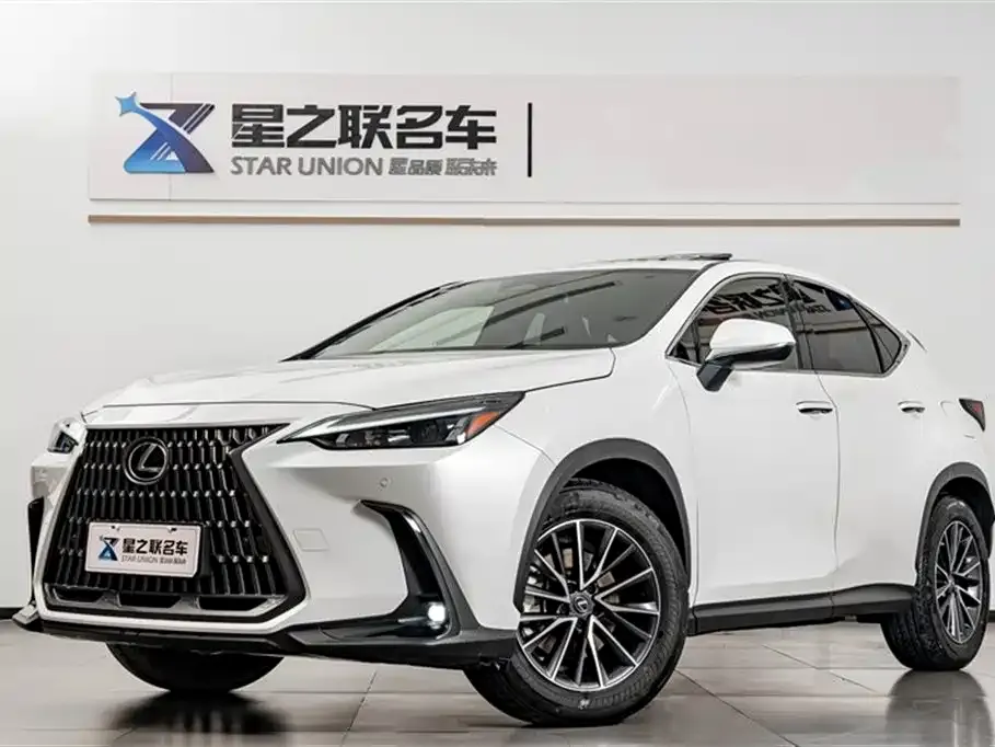 Lexus NX 2022 из CN, фото 6