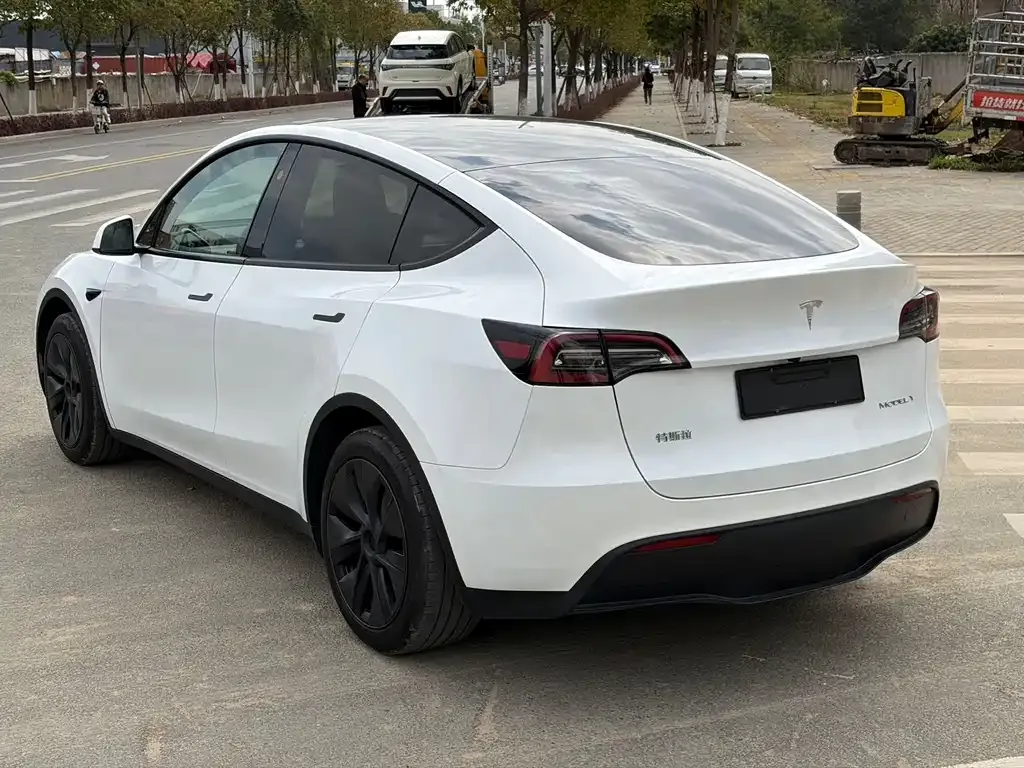 Tesla Model Y — фото 8