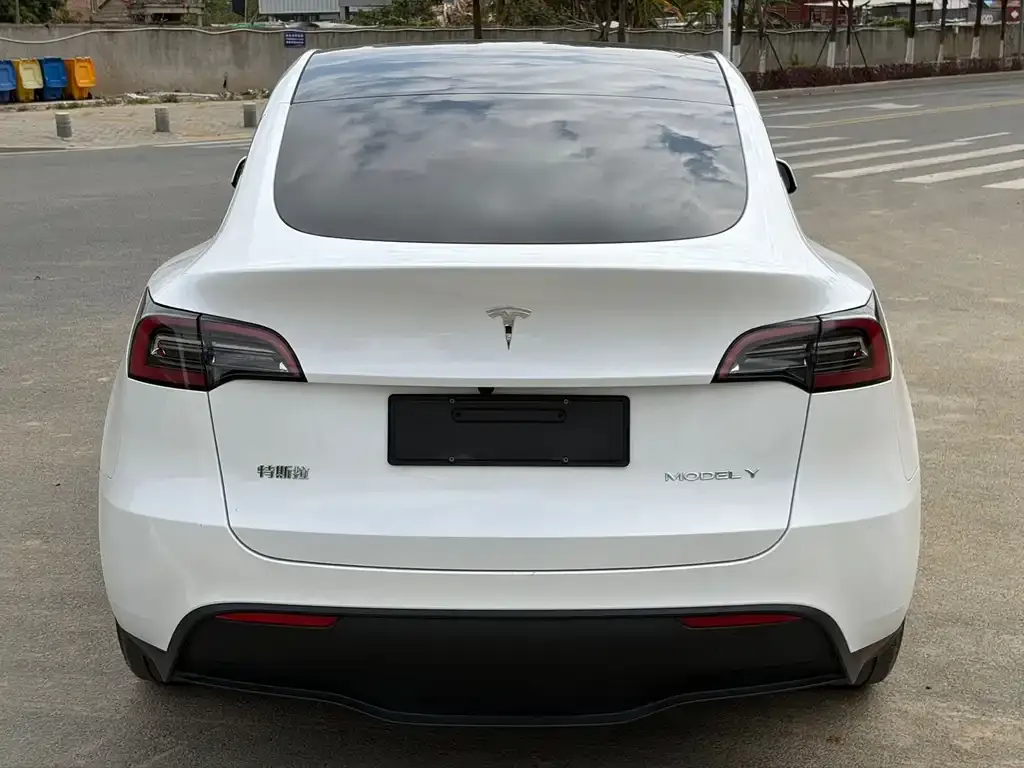 Tesla Model Y — фото 9