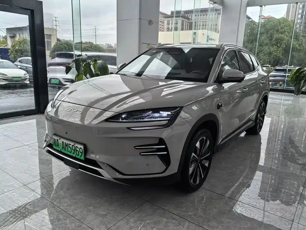 BYD PLUS New Energy — фото 6