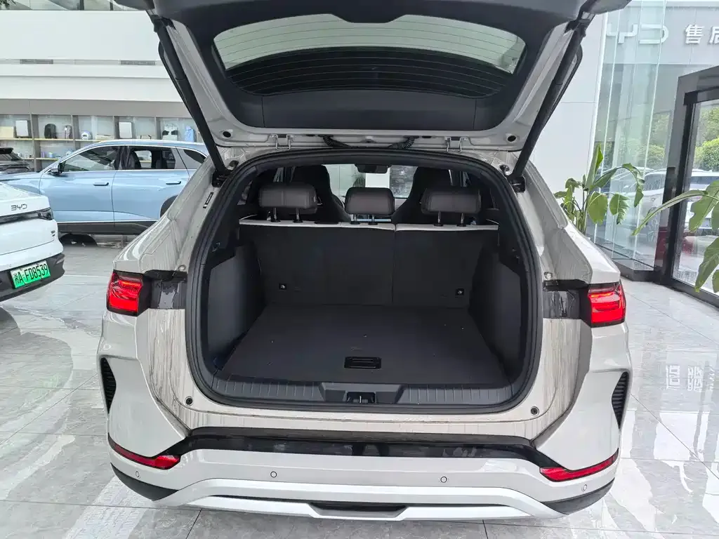 BYD PLUS New Energy — фото 4