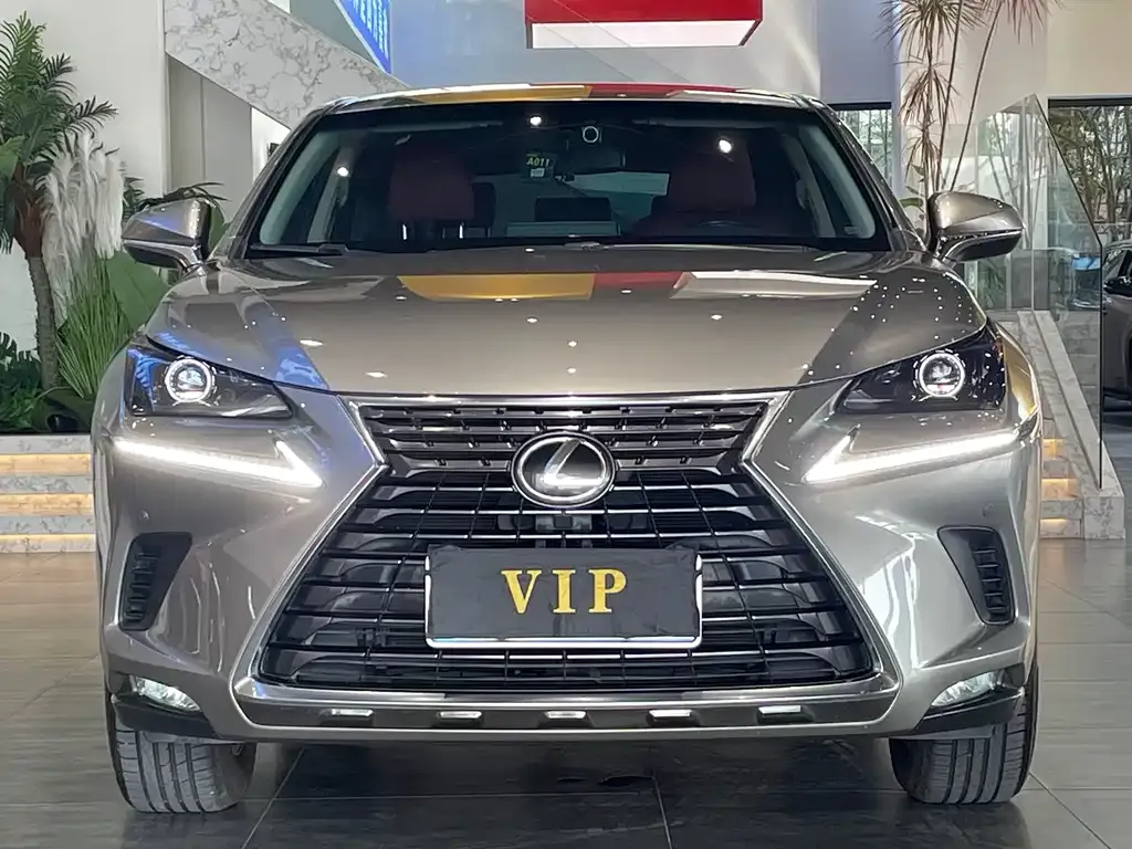 Lexus NX 2021 из CN, фото 6
