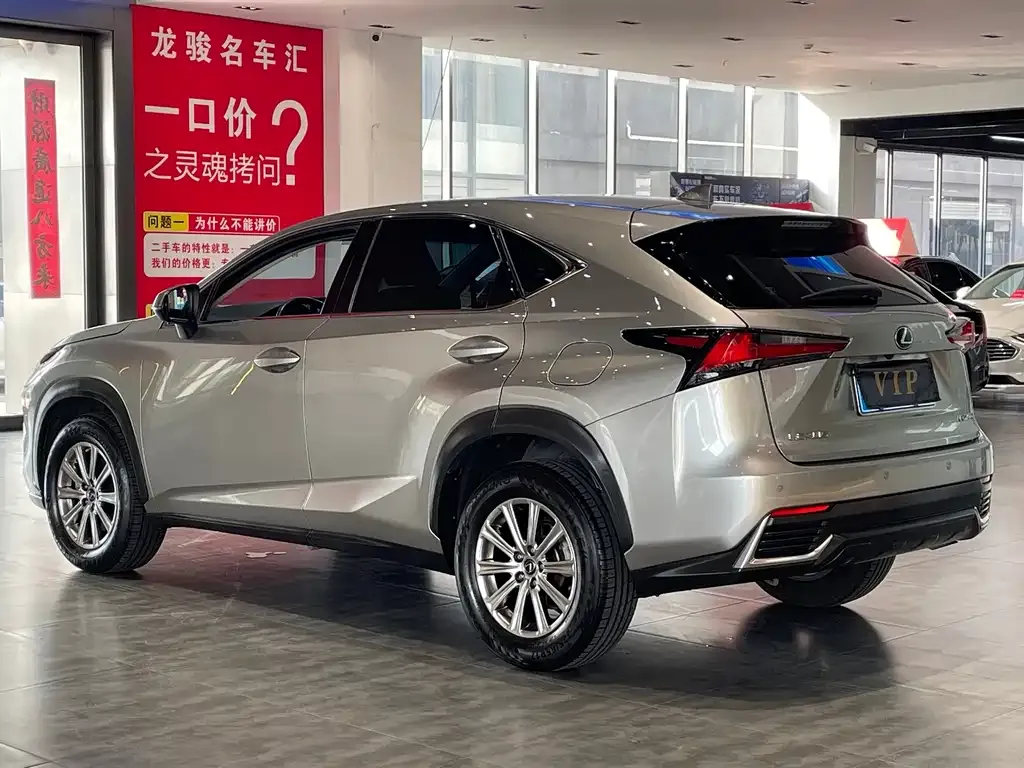 Lexus NX 2021 из CN, фото 4