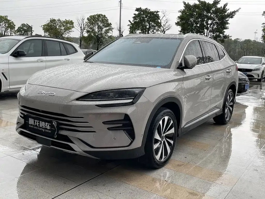 BYD PLUS New Energy 2023 из CN, фото 1