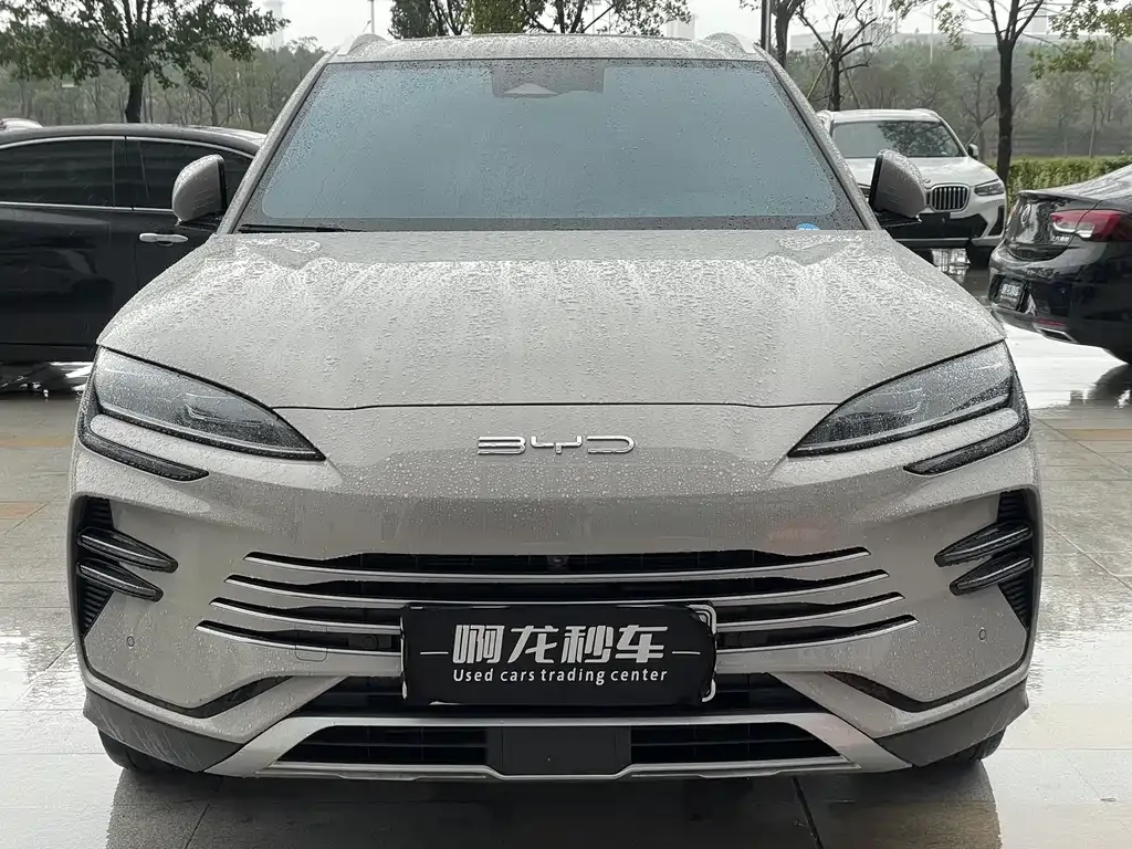 BYD PLUS New Energy 2023 из CN, фото 7