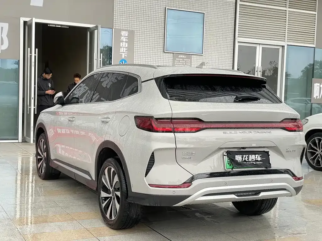 BYD PLUS New Energy 2023 из CN, фото 6