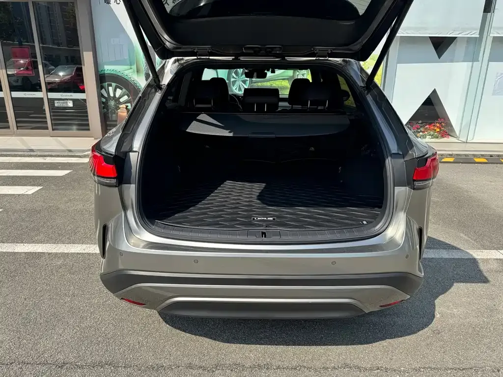 Lexus RX 2023 из CN, фото 9
