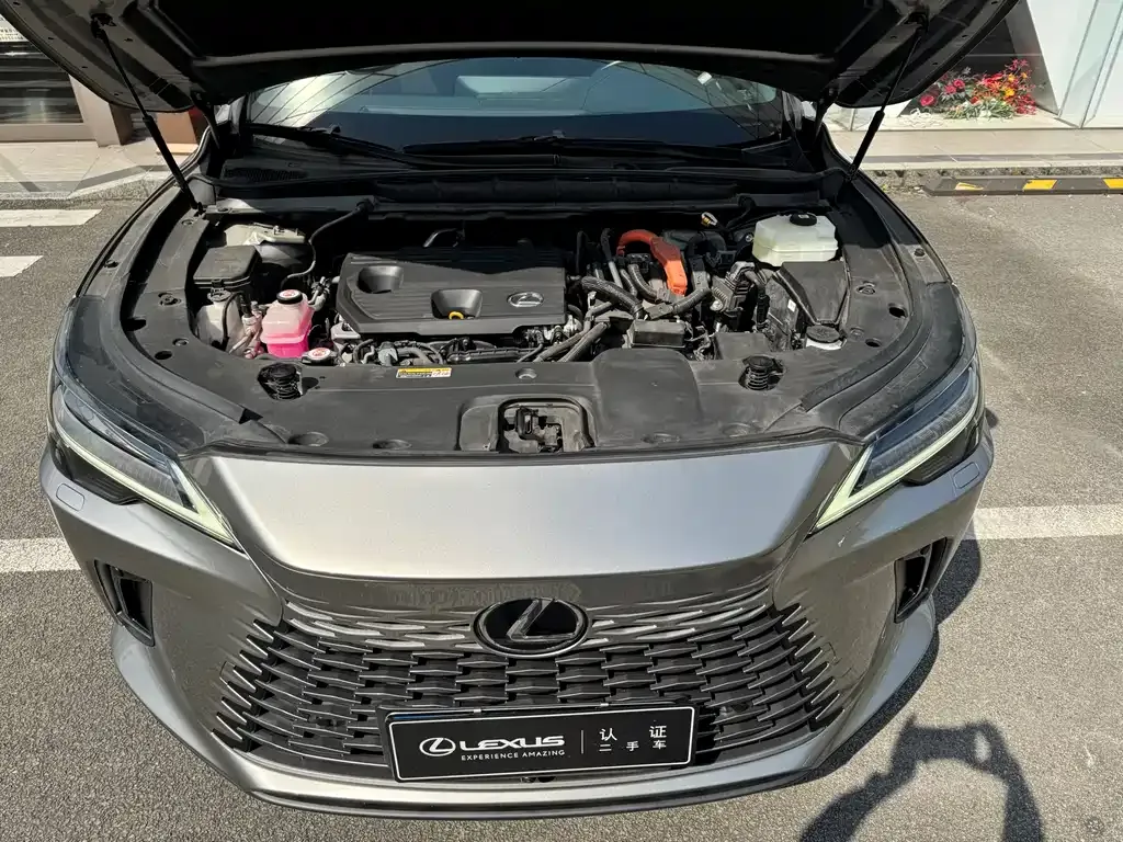 Lexus RX 2023 из CN, фото 6