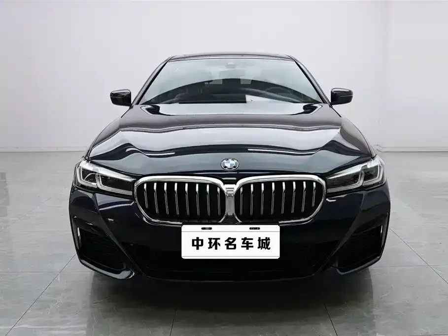BMW 5 Series 2023 из CN, фото 4