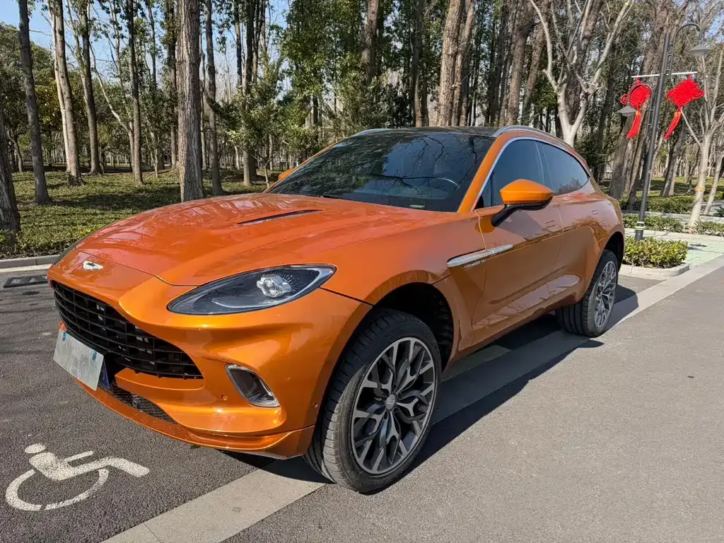 Aston Martin DBX 2022 из CN, фото 1