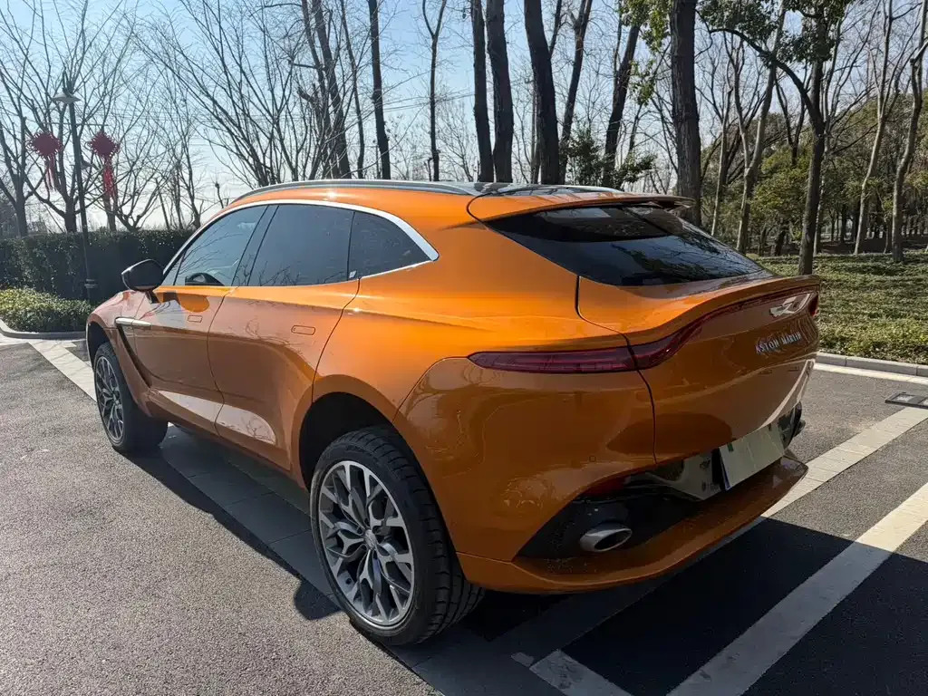 Aston Martin DBX 2022 из CN, фото 3