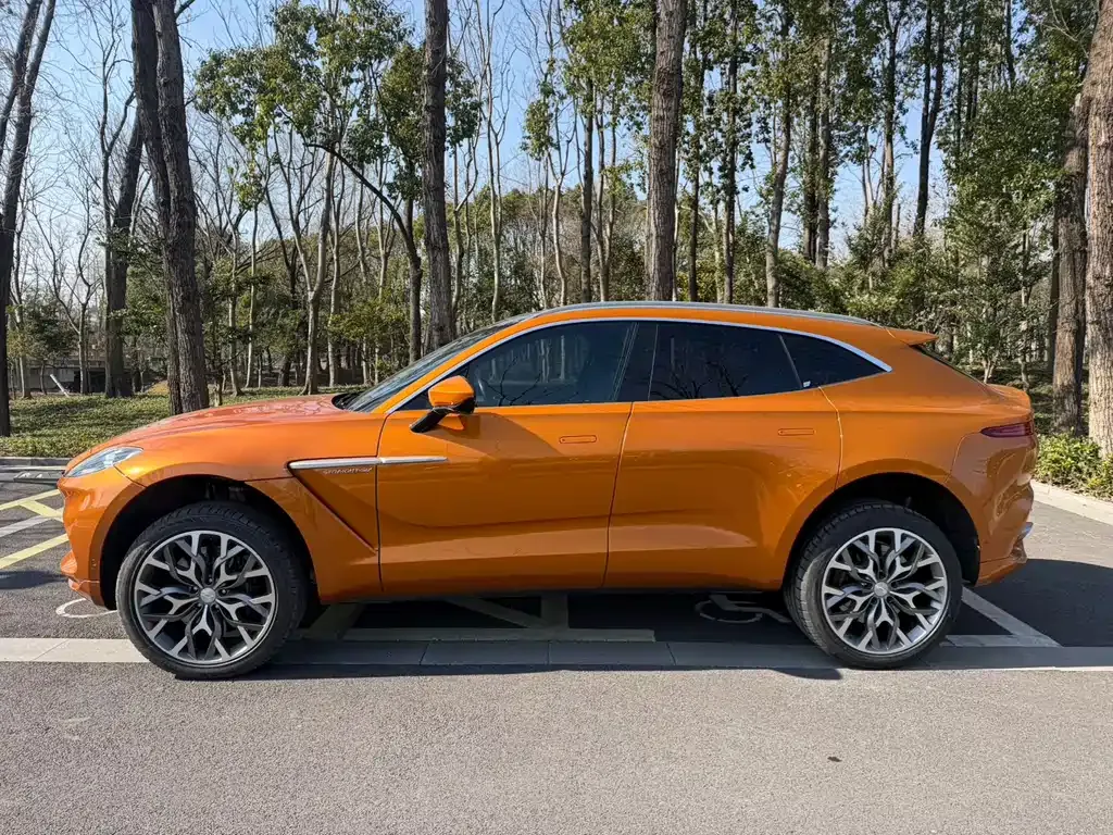 Aston Martin DBX 2022 из CN, фото 4
