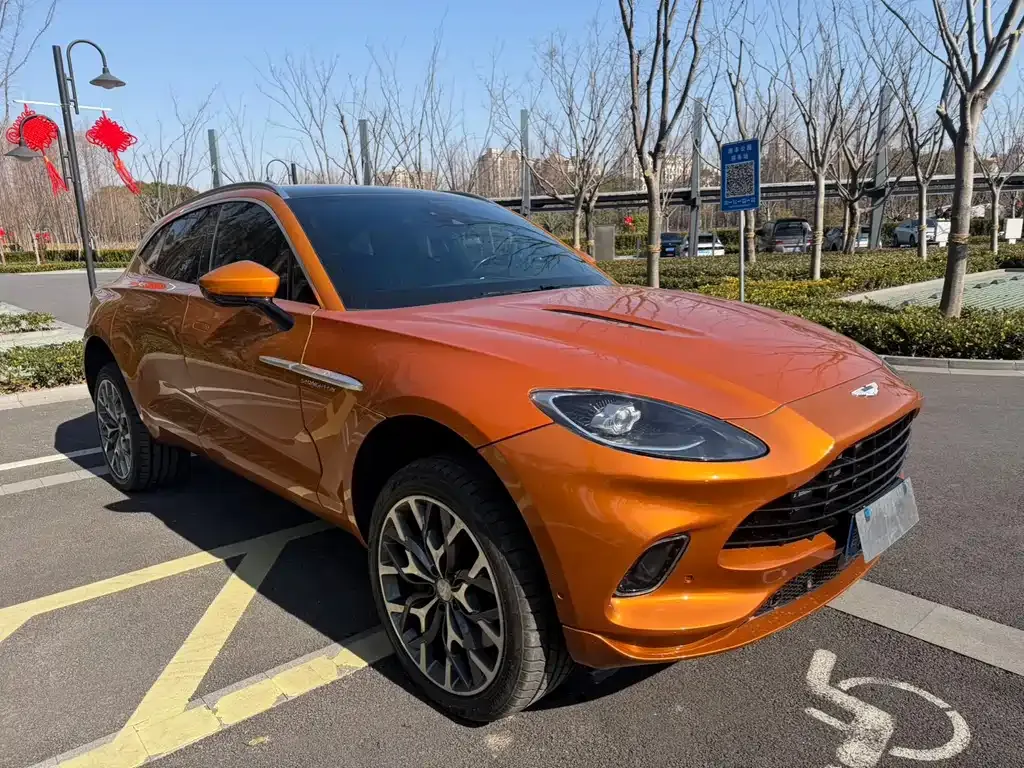Aston Martin DBX 2022 из CN, фото 8