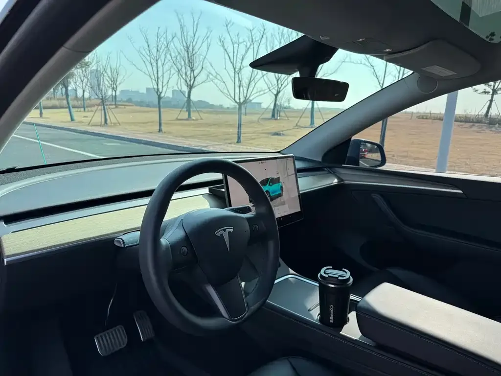 Tesla Model Y — фото 2