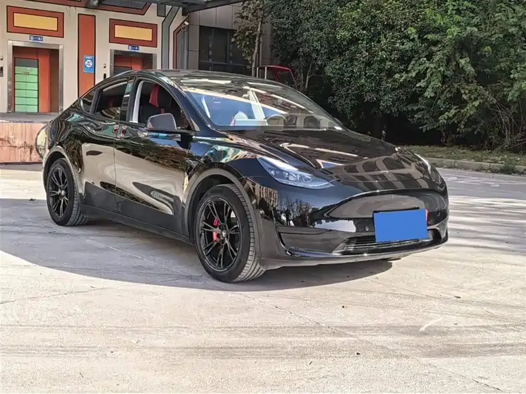 Tesla Model Y 2023 из CN, фото 6