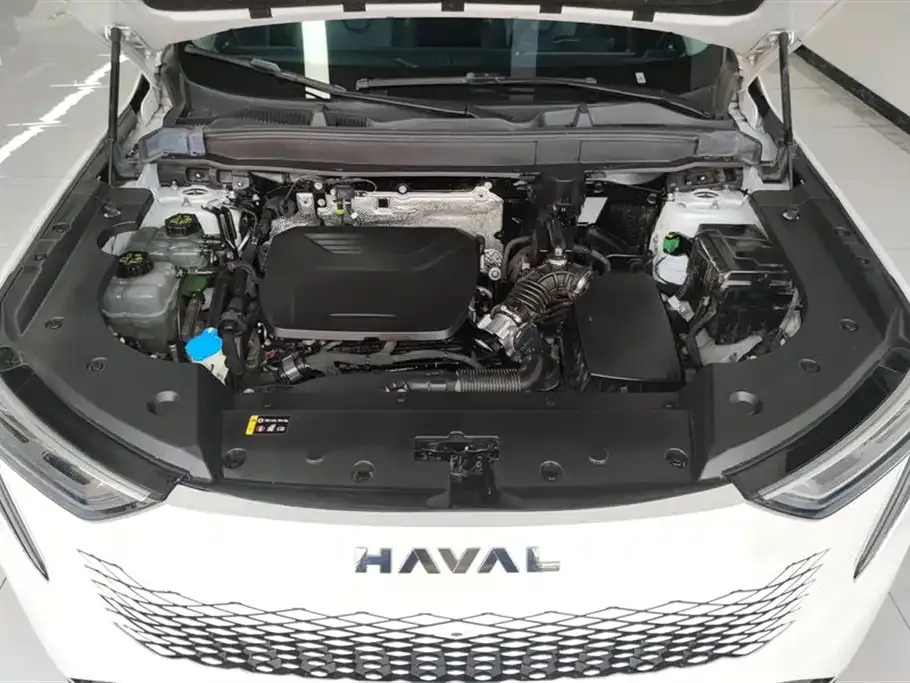 Haval Xiaolong MAX — фото 9