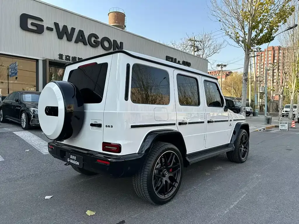 Mercedes-Benz G-Class AMG — фото 8