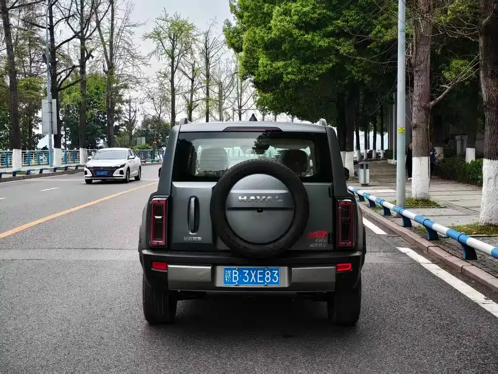 Haval Raptor 2026 из CN, фото 5
